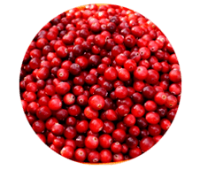 Lingonberry Friichten sinn an Prostamin Kapselen enthale, si entlaaschten Schwellungen